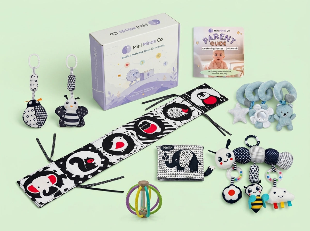 The Awakening Senses bundle laid out: Parent Guide, Mini Minds Co box and six toys for two to four months